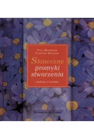 S�oneczne promyki stworzenia