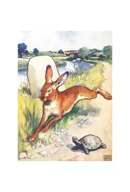 Museums & Galleries Karnet B6 z kopert� The Hare and the Tortoise