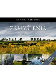 eBook Zamylenia pdf