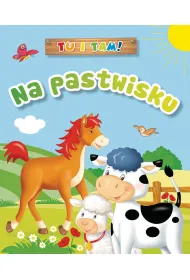 Tu i tam! Na pastwisku