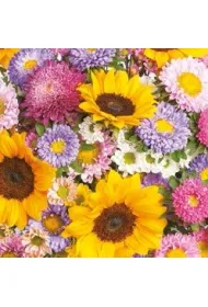 Serwetka Lunch - Colorful Summer Flowers Background SLOG045201 20 szt.