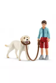Spacer z Labrador Retriver