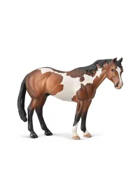 Appaloosa ogier
