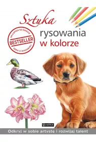 Sztuka rysowania w kolorze