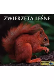 Poznajemy zwierz�ta - Zwierz�ta le�ne