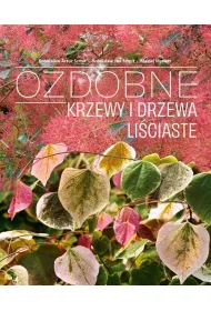 Ozdobne Krzewy i drzewa Li�ciaste