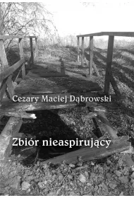 Zbi�r nieaspiruj�cy