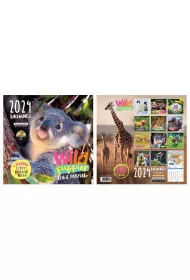 Kukartka Kalendarz Classic Q WILD PUPPIES