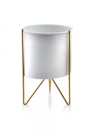 Mondex Osonka Swen Cylindre Gold 26 cm