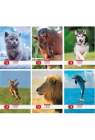 Herlitz Zeszyt A5 Animals dwie linie 16 kartek