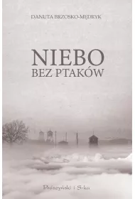 Niebo bez ptak�w