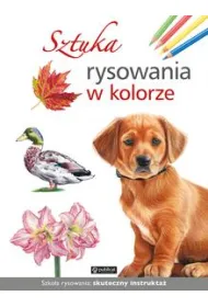 Sztuka rysowania w kolorze