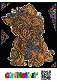 Kolorowanka Welwetowa 47x35 cm Yorkshire Terrier