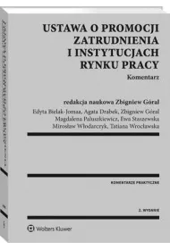eBook Ustawa o promocji zatrudnienia i instytucjach rynku pracy. Komentarz pdf