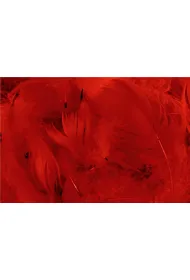 Pi�rka w torebce foliowej 15g
