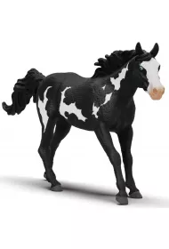 Wa�ach rasy Paint Horse