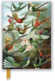 Flame Tree Notatnik A5 Kolibry Ernst Haeckel linia