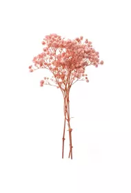 Dalprint Gipswka 4 gazki ok. 20cm light pink