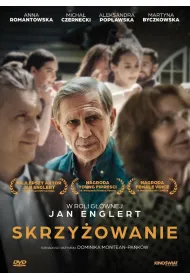Skrzy�owanie DVD