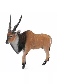 Antylopa olbrzymia eland