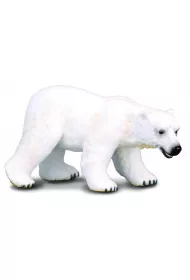 Nied�wied� polarny