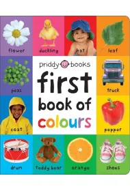 First 100 Book of Colours