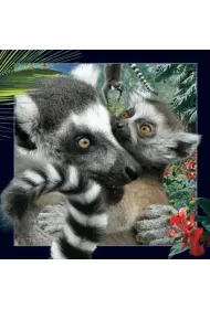 Worth Keeping Poczt�wka 3D Lemur