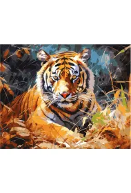 Koh-I-Noor Malowanie po numerach - Tygrys 40x50cm