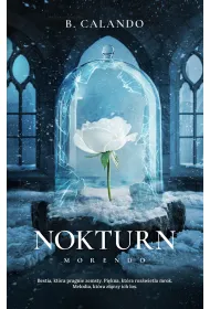 Nokturn
