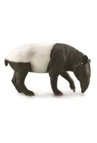 Malayan Tapir