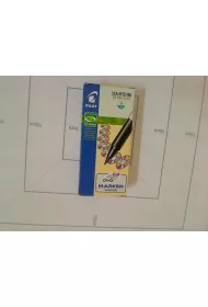 Pilot Marker CD/DVD F Begreen