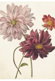 Skona Ting Karnet ST386 B6 + koperta Dalia