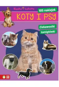 Koty i psy