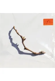 I Inside the Old Year Dying (vinyl)