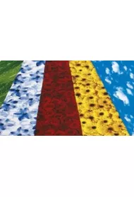 Galeria Hobby Karton dekoracyjny 270g, 23x33cm, 5 arkuszy