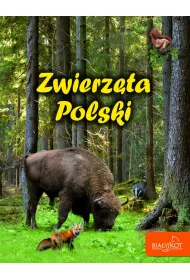 Zwierz�ta Polski