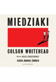 Audiobook Miedziaki mp3