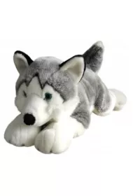 Husky 62cm Dubi