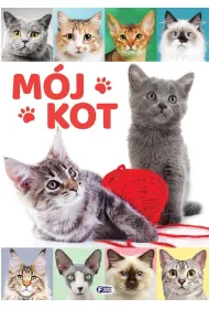 M�j kot