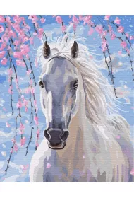 Twoje Hobby Malowanie po numerach - Bia�y ko� 40x50cm
