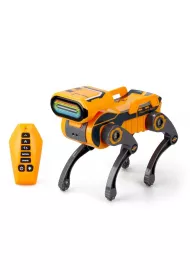 Robo Express pomara�czowy Silverlit