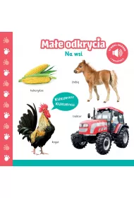 Ma�e odkrycia. Na wsi