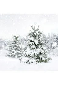 Serwetki Lunch Winter trees 33x33 cm