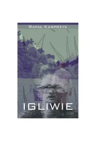 Igliwie czyli niespieszne rozmowy  nie tylko o literaturze