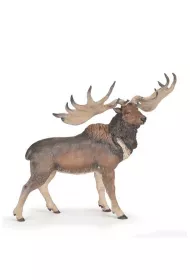 Megaloceros