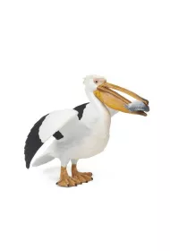 Pelikan