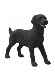 SLH czarny labrador suczka 14923 16413