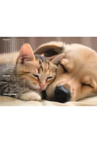Panta Plast Mata na biurko z nadrukiem friendship