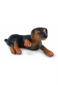 COLLECTA PIES SZCZENIE DOBERMANA ROZMIAR S