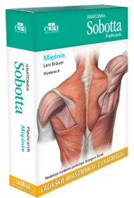 Anatomia Sobotta Flashcards. Mi�nie. �aci�skie mianownictwo anatomiczne